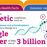Genomics fun facts: Genomic variation