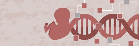 Illustration of fetus and DNA helix