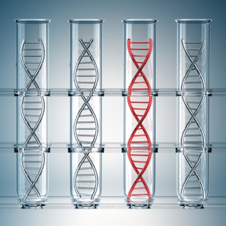 Four test tubes, each containing a single strand of DNA. One of the four DNA strands is coloured red.