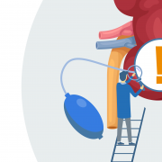 Illustration of a kidney and blood pressure monitor being investigated by a doctor.