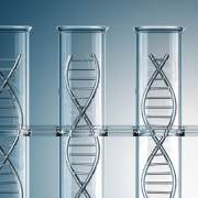 Five test tubes in a row, with a double helix inside each one. The double helix inside the fourth test tube from the left is red, the rest are grey.