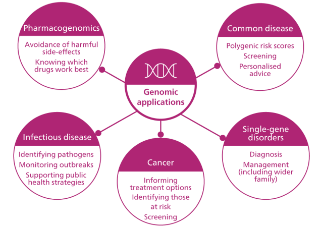 Genomic applications: Pharmacogenomics (avoidance of harmful side-effects, knowing which drugs work best); Common disease (polygenic risk scores, screening, personalised advice); Single-gene disorders (diagnosis, management (including wider family)); Cancer (informing treatment options, identifying those at risk, screening); Infectious disease (identifying pathogens, monitoring outbreaks, supporting public health strategies).