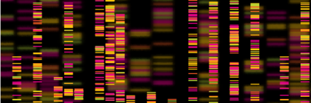 A computer image of a DNA sequence