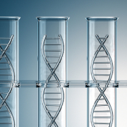 A row of test tubes containing double helixes.