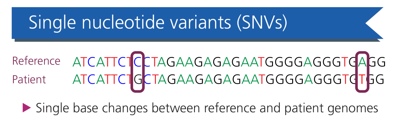 Examples of genomic variation