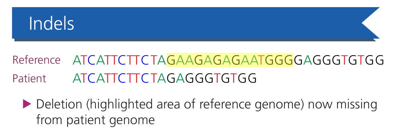 Examples of genomic variation