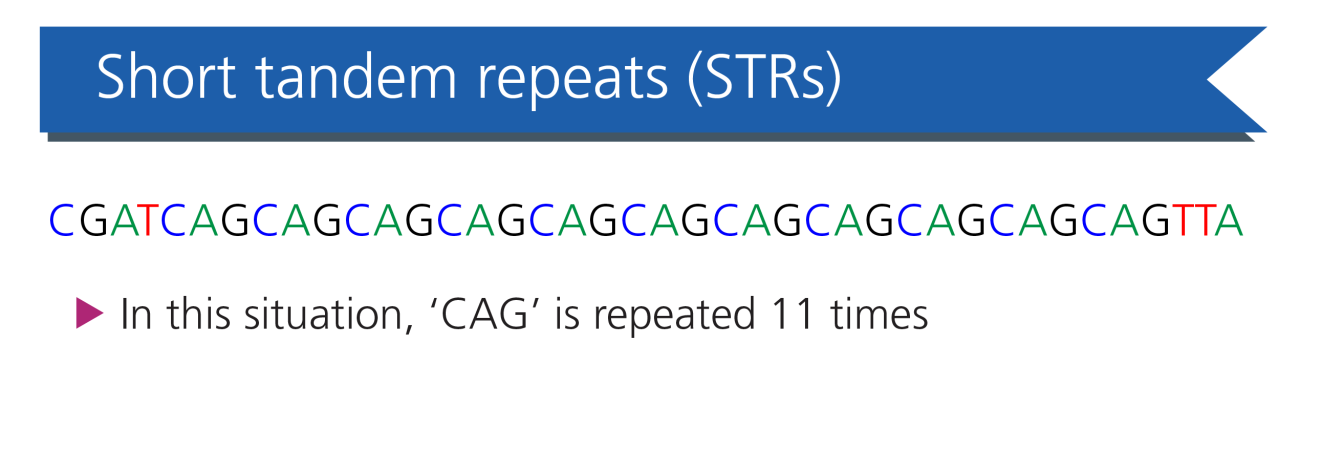 Examples of genomic variation