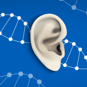 A graphic of an ear in isolation on a blue background. There are white and grey DNA strands going diagonally across the background