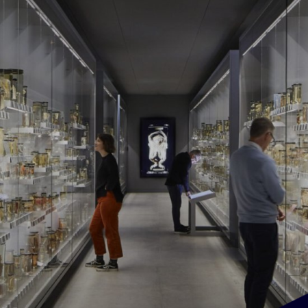 People looking at items in glass cabinets