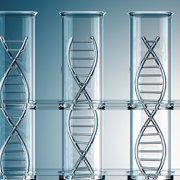 test tubes containing DNA helix