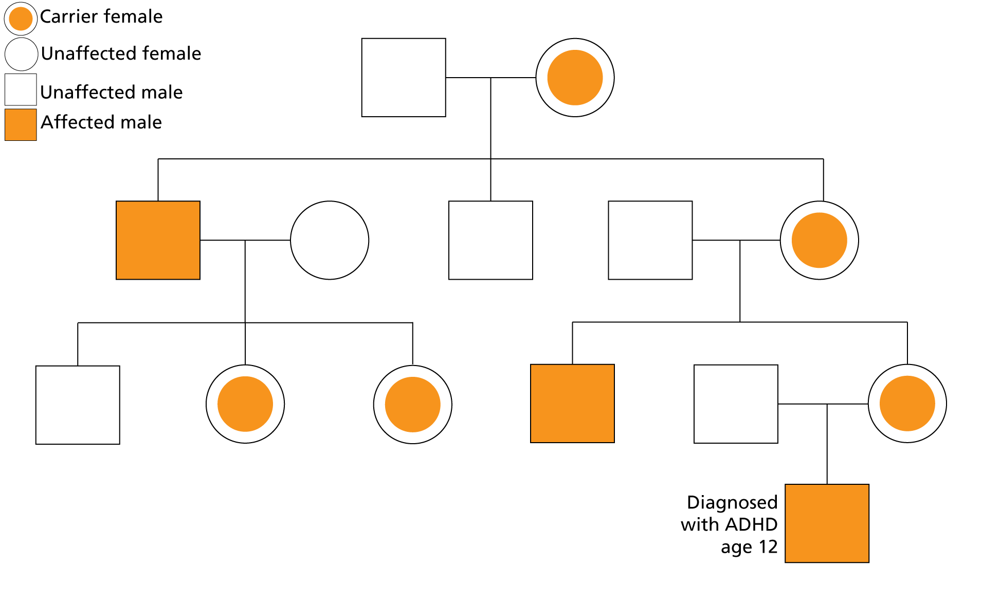 In four generations of a family, all female members are carriers of ichthyosis. Three male members are affected by ichthyosis, and three are not.