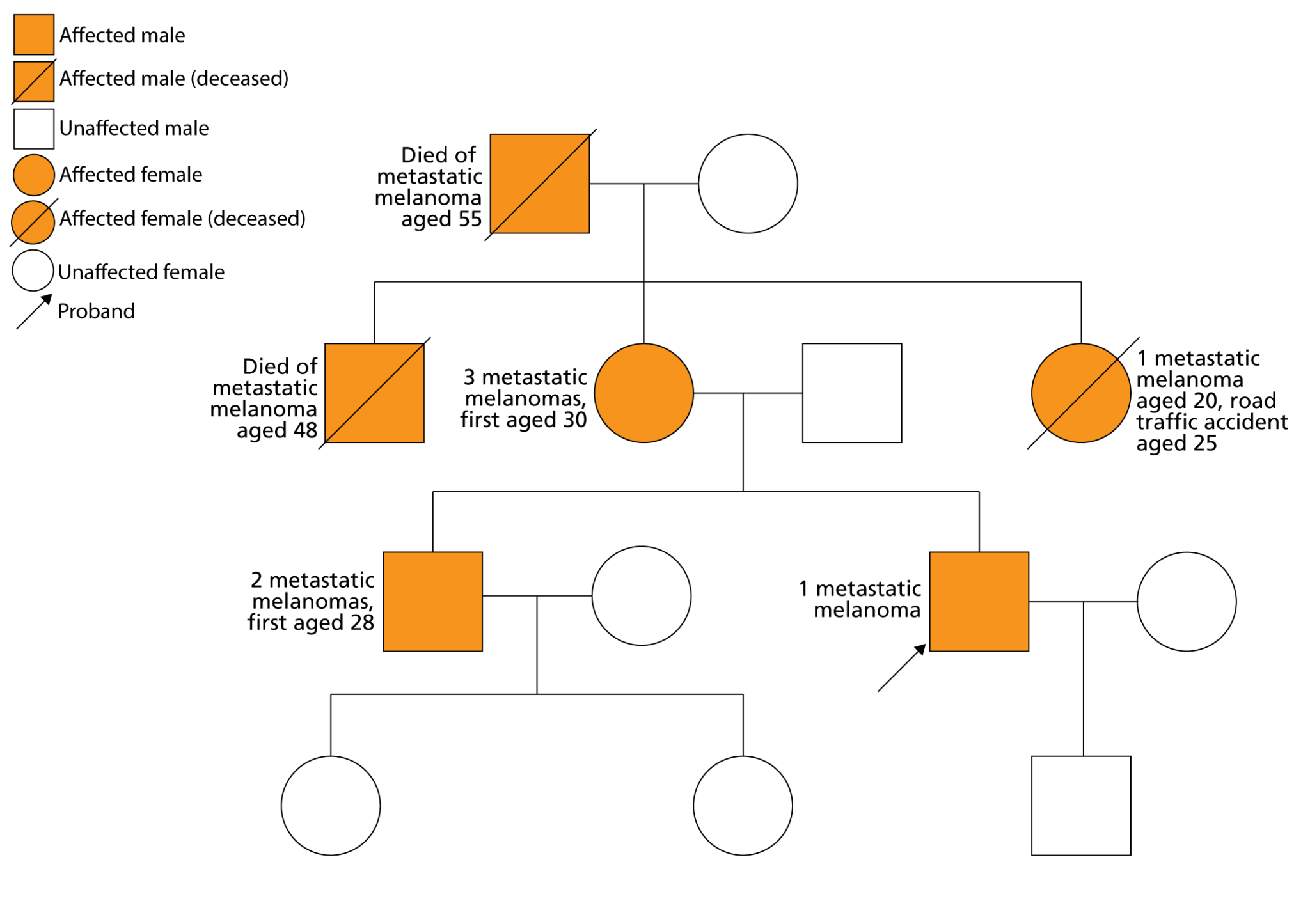 In four generations of the patient's family, two members (his grandfather and his uncle) have died of metastatic melanoma aged 55 and 48 respectively; his mother is affected, with 3 metastatic melanomas (first aged 30), his aunt had 1 metastatic melanoma but died aged 25 in a road traffic accident, his older brother has had 2 metastatic melanomas (first aged 28), and the patient himself has 1 metastatic melanoma currently diagnosed.