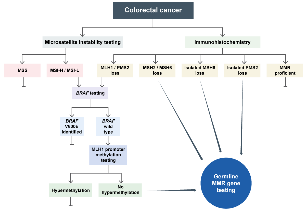 The routes to germline MMR gene testing in colorectal cancer, via either MSI or immunohistochemistry tests
