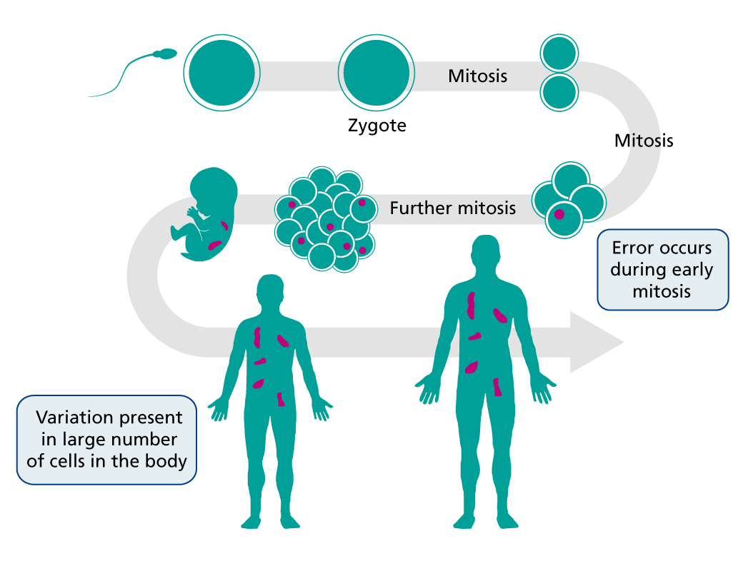 Disorders Caused By Genetic Mosaicism RFIFJT Disorders Caused By Genetic Mosaicism RFIFJT