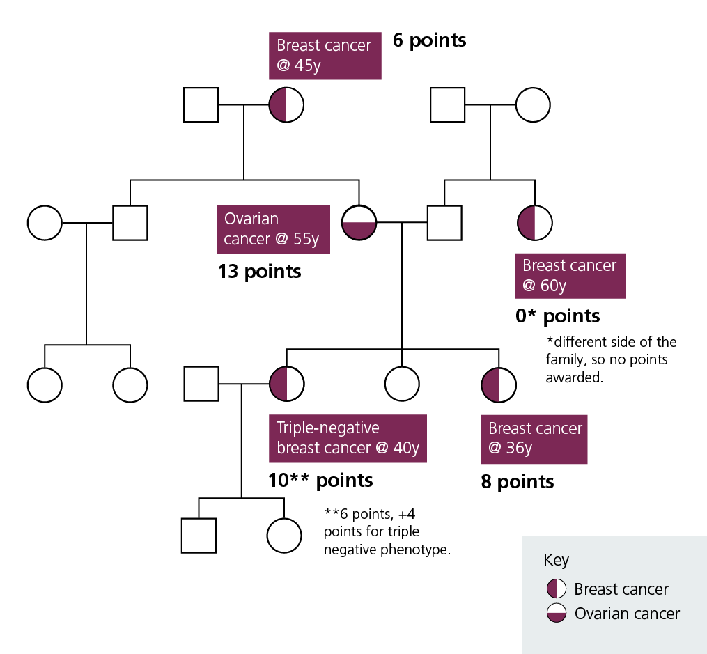 A genetic pedigree showing a family with breast and ovarian cancers, and Manchester score values associated with affected individuals.