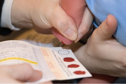 A close-up of a clinician's hand squeezing a drop of blood from the heel of a baby, holding a screening card underneath to ensure the blood is transferred to a specific section at the bottom.