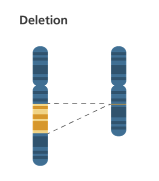 A section of chromosome from which the middle part has been removed.