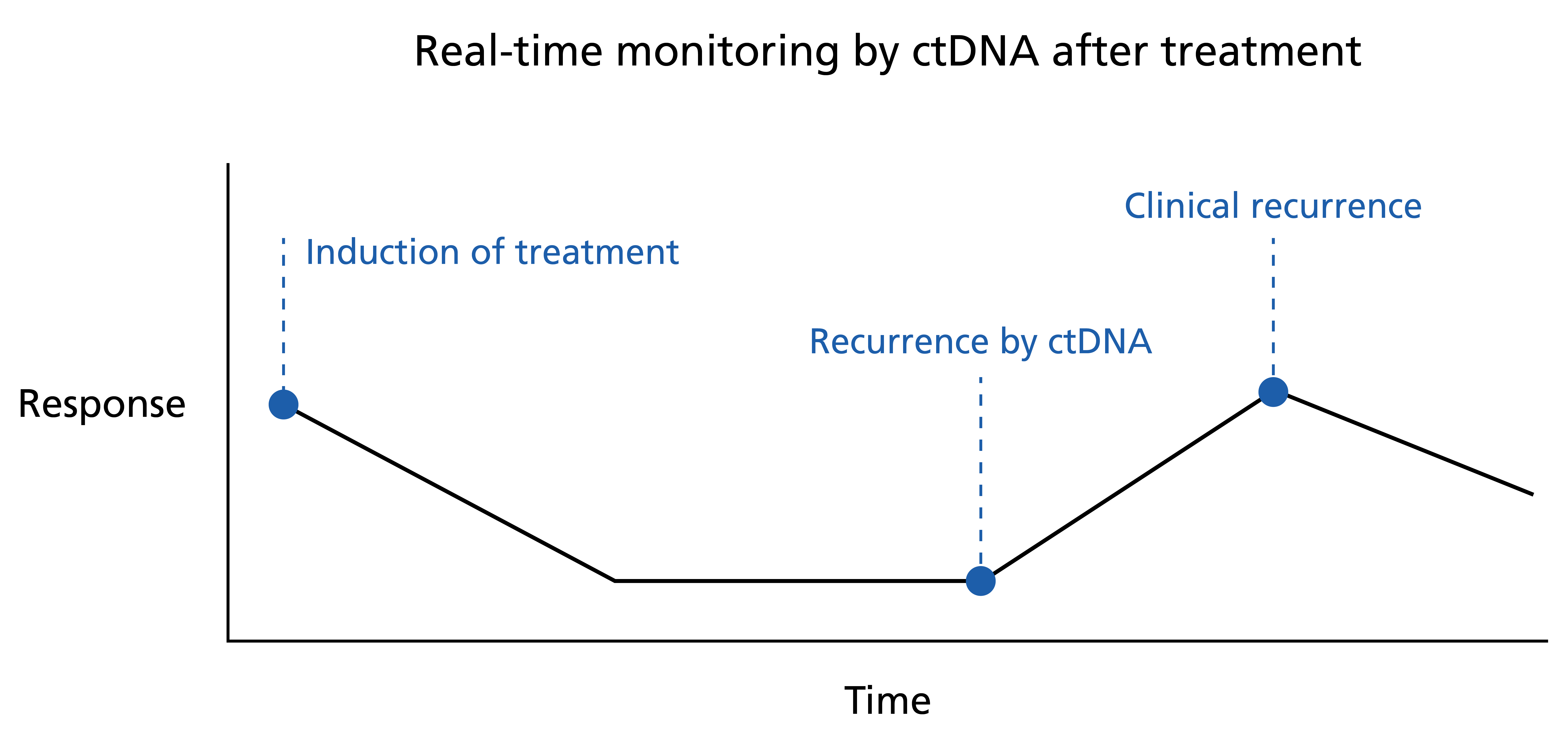 A rise in ctDNA may be seen before clinical evidence of recurrence, presenting an opportunity for early intervention.