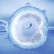 Fertilisation IVF