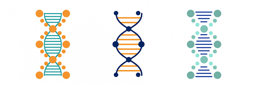 Human Genomic Variation