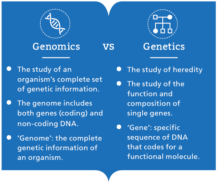 Genome meaning