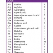 Amino acids - Genomics Education Programme