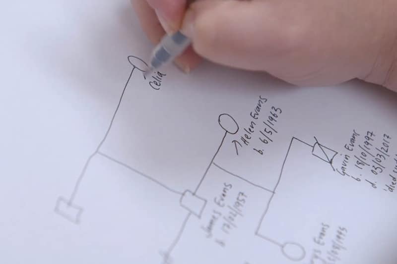 Pedigree Chart For Family History Of Genetic Disorder