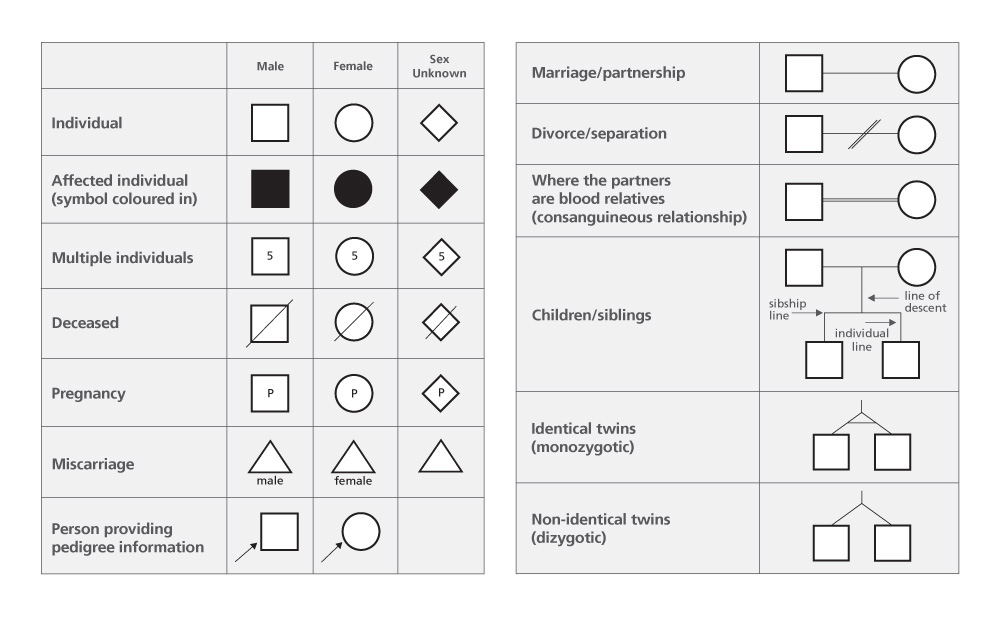 Genetic pedigree symbols and lines