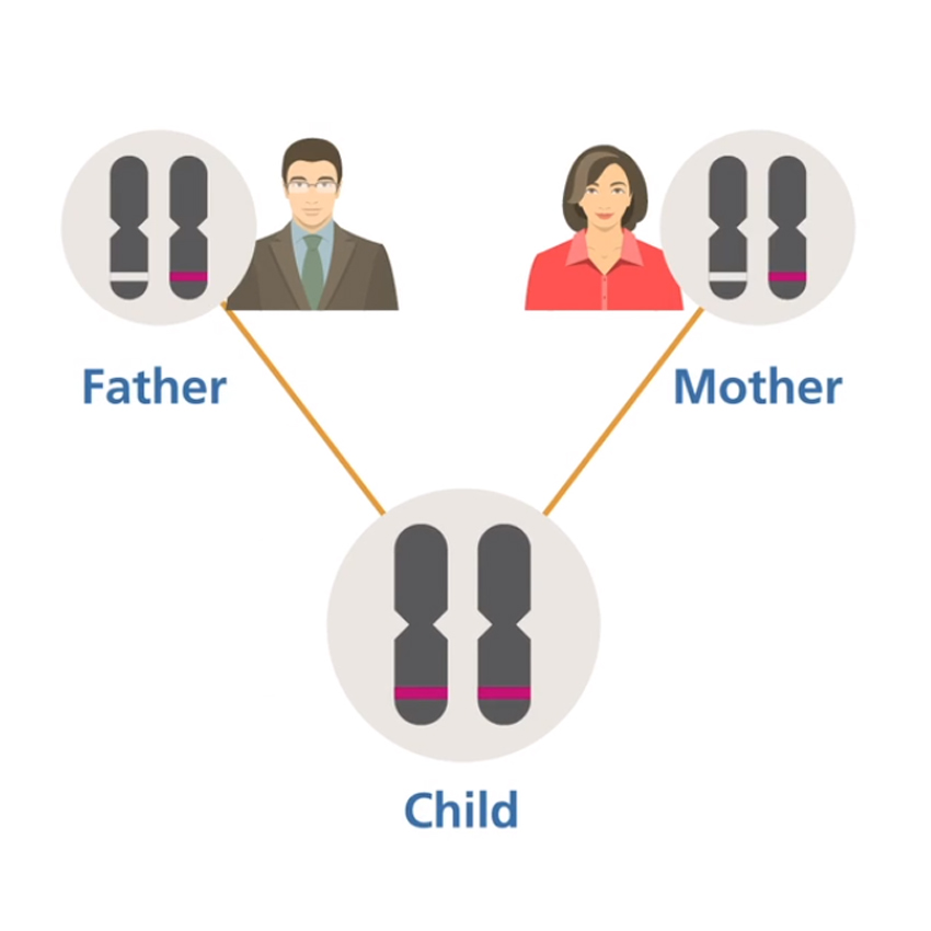 autosomal recessive inheritance