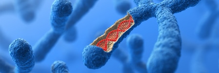 3D render of a chromosome with DNA helix exposed inside