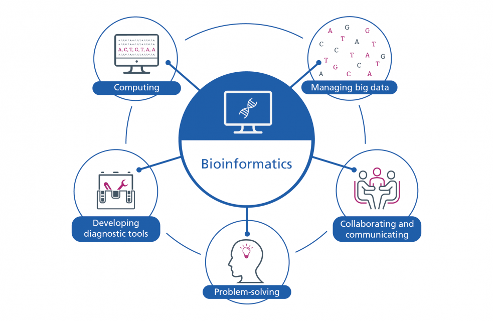 scope and research areas of bioinformatics