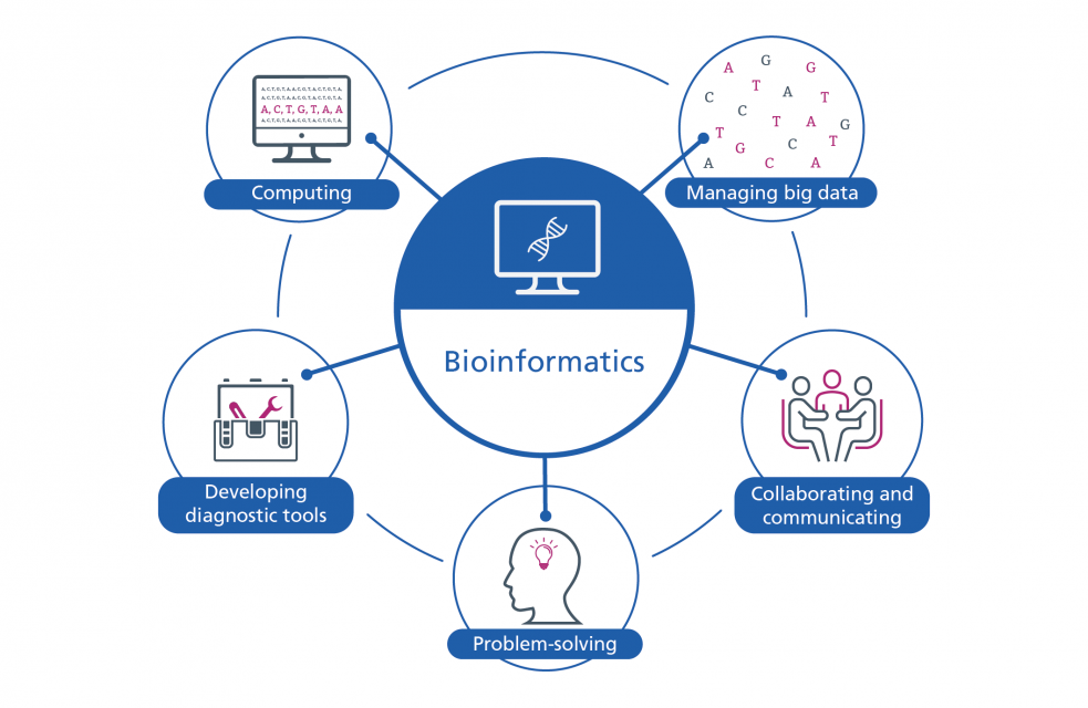 phd computer science bioinformatics