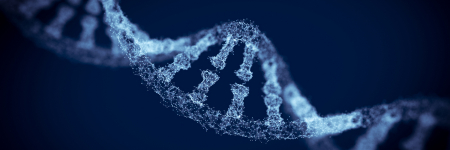 Render of a DNA helix