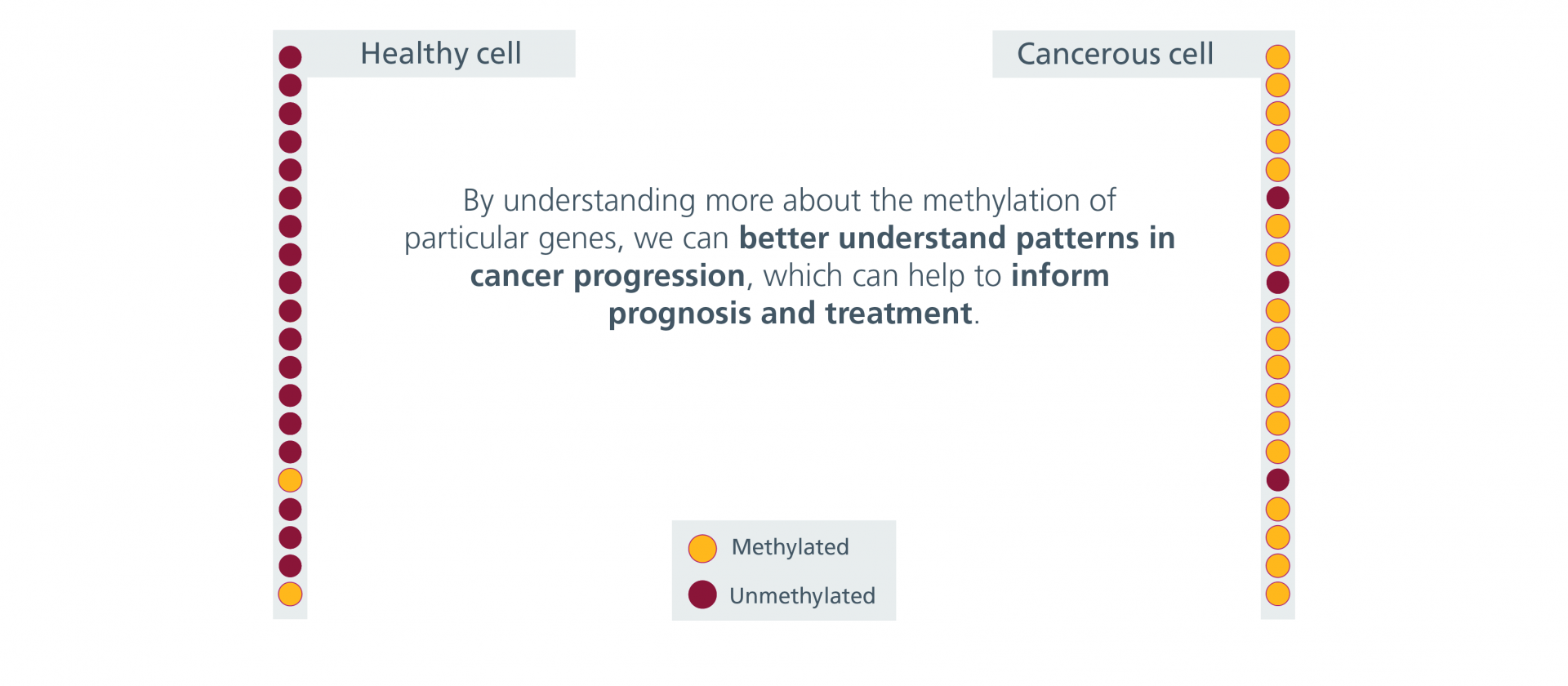 A comparison of the methylation status of 20 genes in a healthy cell and the same 20 genes in a cancerous cell; there is a significant difference between the two. By better understanding patterns in cancer progression, we may be able to help inform prognosis and treatment.