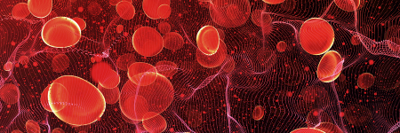 Red blood cells in bloodstream