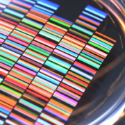 Interpretation of genomic data surrounded by circular screens