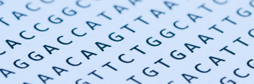 Lists of genomic bases: A, T, G and C