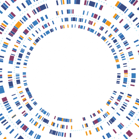 A circle plot