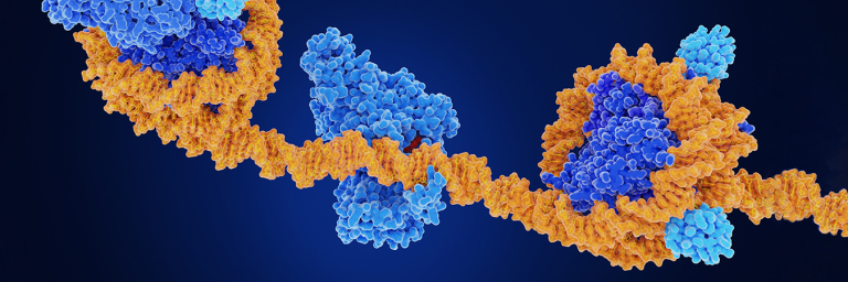 A 3D image of a protein interacting with a DNA stand while two nucleosomes flank it.