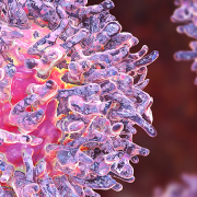Close-up image of a leukaemia cell