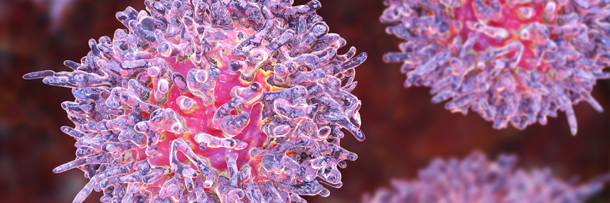 Close-up image of a leukaemia cell