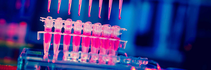 A row of test tubes full of neon pink liquid, each with a pipette dangling above it, drips of more pink liquid about to drop into them.