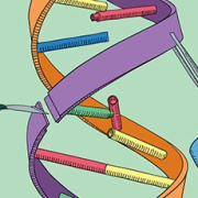 An illustration of a multicoloured DNA strand running vertically down the centre of the image with two hands on either side of it. The hands are wearing blue surgical gloves. One hand is holding tweezers that are gripping the DNA strand and the other hand is holding a scalpel which has sliced the DNA strand.