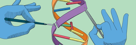 An illustration of a multicoloured DNA strand running vertically down the centre of the image with two hands on either side of it. The hands are wearing blue surgical gloves. One hand is holding tweezers that are gripping the DNA strand and the other hand is holding a scalpel which has sliced the DNA strand.