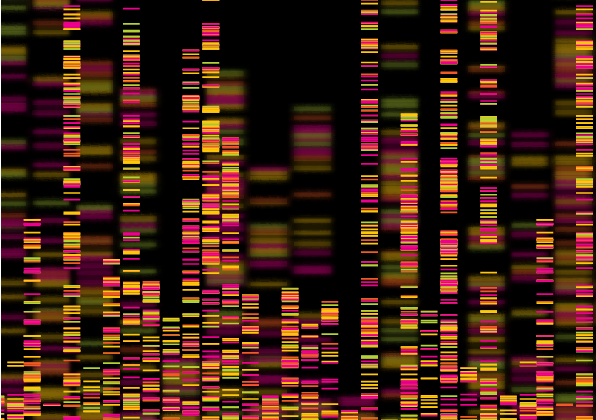 A computer image of a DNA sequence