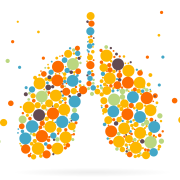 An illustration of a pair of lungs that are filled with various circles of different colour and size. Some smaller circles are floating outside of the lungs.