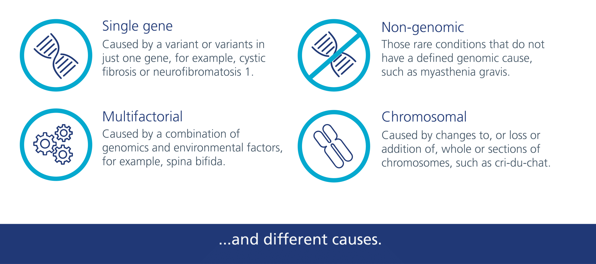 The different potential causes of a rare disease, including single gene, chromosomal, multifactorial and non-genomic.